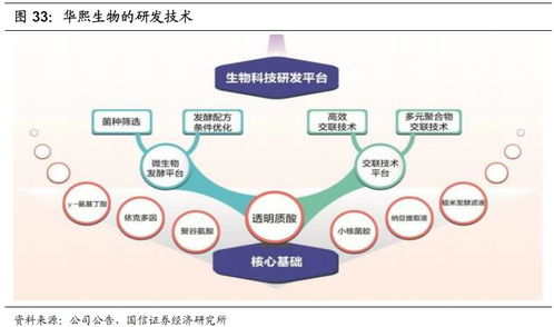 化妝品行業2020年投資展望 產品先行，流量催化，資本助力